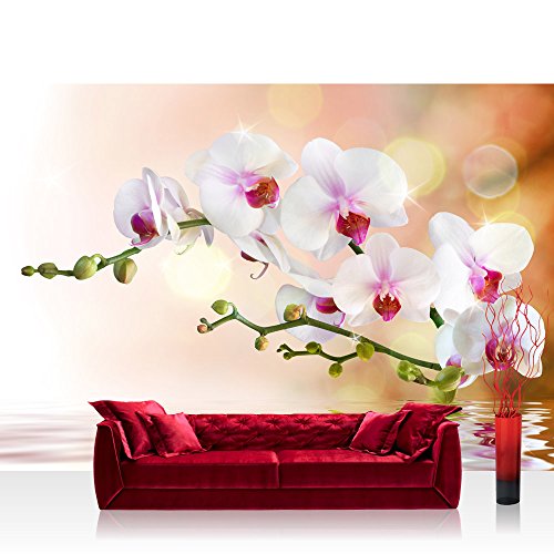 Vlies Fototapete 200x140 cm - Top ! PREMIUM PLUS Foto Tapete ! Wandbilder XXL Wandbild Bild Fototapeten Tapeten Wandtapete Wanddeko Wand Blumen Orchidee Natur - no. 200