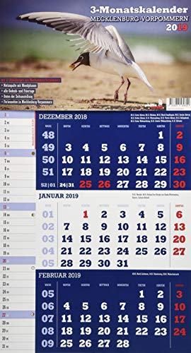 Mecklenburg-Vorpommern 2019 3-Monatskalender: Praktischer Monatsplaner mit meckl.-vorp. Kalendarium