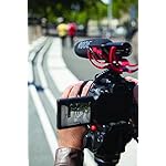Rode-Rycote-Edition-VideoMic-Line-Gradient-Polar-Pattern