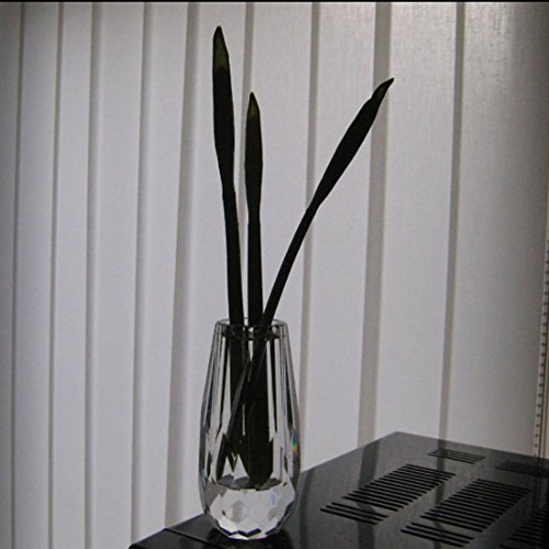 Klar Bud Vase Cut Kristall für Tabel Flower Vasen von donoucls klein 6 x 12 cm (STYLE1) - 3