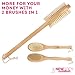 Bath Body Brush With Double Sided Head & FREE Hanging Hook. Perfect Exfoliating Body Brush + Great For Dry Brushing. This Long Handled Back Brush Is The Best Shower Back Scrubber For Men And Women!