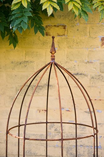 Blumenhilfe Ø 45cm Rankhilfe Obelisk Rost Höhe: 150 cm Rankgitter - 2