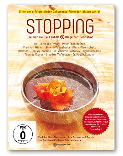 Preisvergleich Produktbild Stopping - wie man die Welt anhält