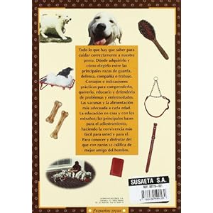 Perro, cuidado y adiestramiento