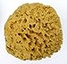 Unbleached Sea Sponge Soft Honeycomb 15.2-16.5cm, 6-6.5" inches