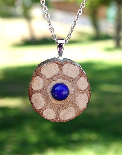 Pendant made of liana slice and round Lapis Lazuli cabochon + Sterling Silver necklace