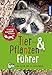 Tier- und Pflanzenführer. Kindernaturführer: Über 250 Arten und 80 Tierstimmen by Anita van Saan, Holger Haag