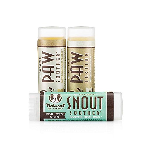 Natural Dog Company museau sucette + Paw Soother + Pawtector 4,3 gram Voyage Stick Lot - sec fissuré Patte de Chien Coussinets et nez