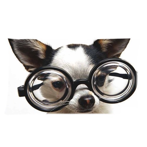 Preisvergleich Produktbild Cute Dog Wear Glasses Pillowcase 20x36 (one side)