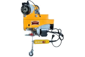 Dragon Winch Polipasto eléctrico 500/990 kg + Carretilla Eléctrica | con altura de elevación 12m/6m con cuerda de acero, freno automático y control remoto para uso en taller, almacén, obra y garaje