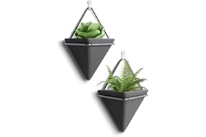 HILAI Planter suspendu en intérieur jardinière en céramique monter succulent pots muraux décoration murale 2pcs grandes jardinières et paniers suspendus