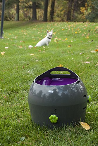 PetSafe-Automatic-Ball-Launcher