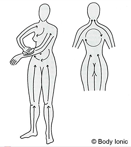 Klosterbürste, Body ionic, Kosmetex Energie Massagebürste Rückenbürste am abnehmbaren Stiel für Trockenmassage - 5