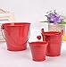 Produktbild QYL 3Er Shabby Chic Mini Eimer Blume Metall Vasen Dekorative Rustikale Kleine Eisen Eimer,Red