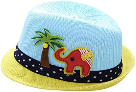 Toddler Infant Kids Sun Cap-Diadia UPF 50+ UV Ray Sun Protection Four Seasons Fashionable Jazz Hats Caps Sun Beach Polyester Hat for Boys And Girls (Sky Blue)