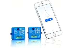 LoraTap Interruttore WiFi Mini, Ricevitore 2500W 10A, Controllo Remoto via App Smart Life, Compatibile con Alexa e Google Assistant per Controllo Vocale, per Casa Intelligente, Set di 2