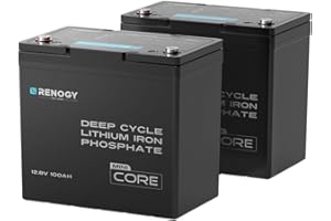 Renogy 200Ah 12V LiFePO4 Battery (2pcs 100AH Lithium Battery), Mini Size Lithium Iron Phosphate Leisure with 5000+ Deep Cycles, IP65 and BMS Protection for Caravan, Boat and Solar Panel System