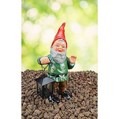 Heissner Forest Garden Gnome the Collectible Gnome Pond Original Fried