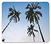 Produktbild Palm Tree Mouse Pad, Vintage Filtered Upward Coconut Trees Photo Angeles Island Beach Theme Print, Standard Size Rectangle Non-Slip Rubber Mousepad, Green Blue