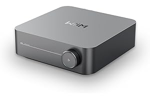 WiiM Amp : Amplificateur de Streaming Multiroom | Compatible avec AirPlay, Google Cast, Alexa | HDMI, Contrôle Vocal | Diffusez Depuis Spotify, Amazon Music, Tidal et Plus | Gris Spatial