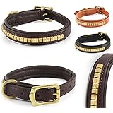 [Gesponsert]Fashion-Line von Pear Tannery: Hundehalsband aus weichem Rindsleder, versehen mit einer Messingverzierung mittig, XXS 26-36cm, schokoladenbraun