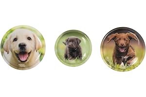 ‎SCHOOL-MOOD School-Mood Patchy 3er Set für Schulranzen – Klett-Patchy mit wechselbaren Designs für Kinder – Trendiges Schulrucksack-Accessoire für jeden Geschmack, perfekt für die Grundschule