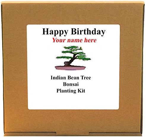 Personalised Happy Birthday Indian Bean Tree Bonsai Planting Kit - Unusual Indoor Gardening Gift