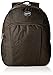 American Tourister Clive Polyester 20.8 ltrs Tobacco Laptop Backpack (61W (0) 13 205) RS.1495.00