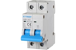 ZOREI Interruttore Magnetotermico Automatico, 2P Bipolare 220V, Salvavita Stotz, Occupa 2 Moduli DIN, Disponibile 6A 10A 16A 20A 25A 40A (2P 10A)