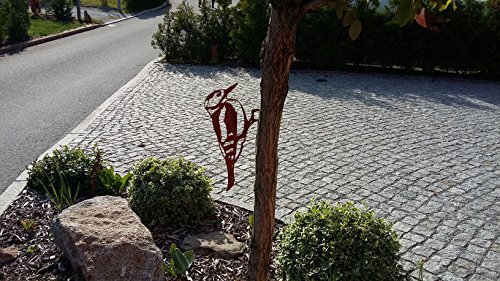 Vogel Buntspecht (Rostdeko) - 5