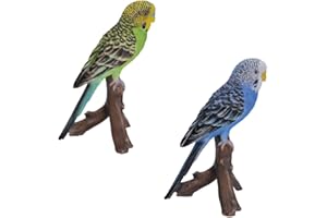 Green Budgerigar by Vivid Arts Ltd