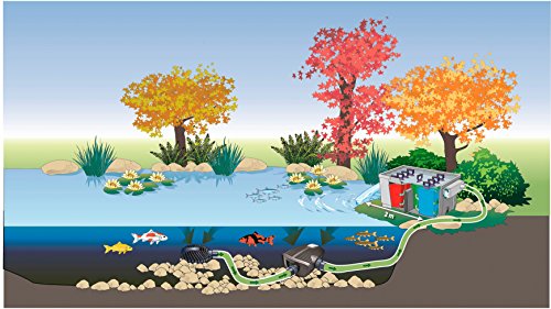 Oase 50736 Filter-Bachlaufpumpe Aqua Max Eco Premium 6000 - 5