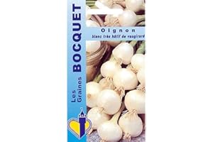 Sachet de graines de Oignon blanc très hâtif de Vaugirard - 4 g - légume racine - LES GRAINES BOCQUET