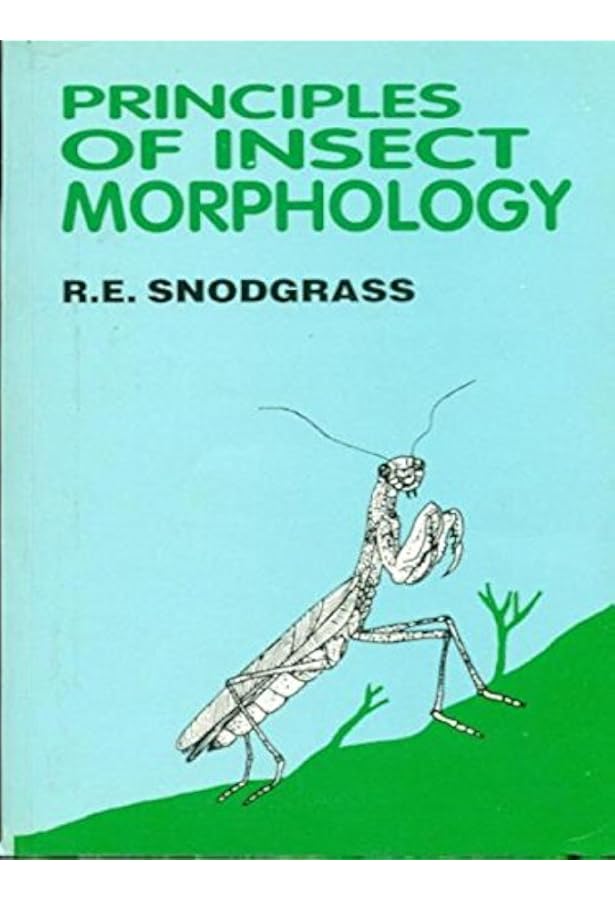 The Insects: Structure And Function : Chapman: Amazon.in: Books