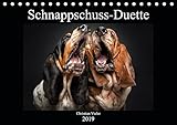 Schnappschuss-Duette (Tischkalender 2019 DIN A5 quer): Hunde schnappen nach Leckerchen - erstmalig zu zweit vor der Kamera. (Monatskalender, 14 Seiten ) (CALVENDO Tiere) by 