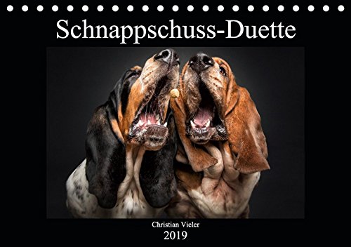 Schnappschuss-Duette (Tischkalender 2019 DIN A5 quer): Hunde schnappen nach Leckerchen - erstmalig zu zweit vor der Kamera. (Monatskalender, 14 Seiten ) (CALVENDO Tiere)