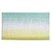 Produktbild InterDesign 35820EU Mikrofaser Ombre Teppich, 86 x 53 cm, mint-multi