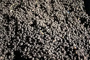 Creative Farmer Organic Vermi Compost - Multi-Purpose Fertilizers (500 Gram)