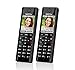 Price comparison product image AVM FRITZ Fon C5 Duo (Schnurloses phone DECT for Internet-und Festnetztelefonie)