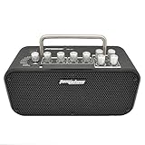Aux In puede conectar el amplificador a los dispositivos de audio externos (CD, reproductor de MP3, etc.)