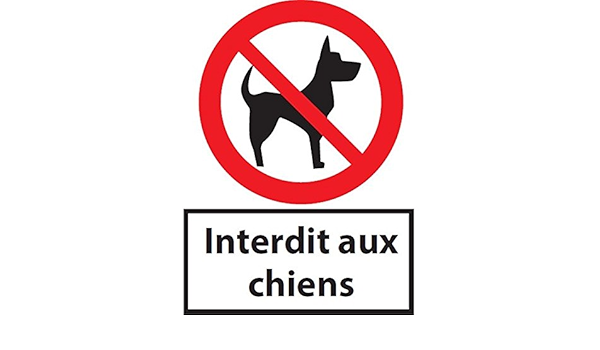 panneau picto interdit aux chiens pvc a4 amazon fr bricolage panneau picto interdit aux chiens pvc