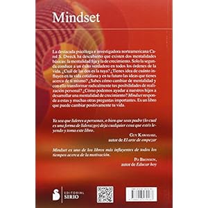 Mindset: La Actitud Del Exito