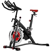 SCHWINN Schwinn 590R Recumbent Bike
