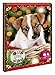 Produktbild Adventskalender Hundefreund, 120g einzeln verpackte Edelvollmilch-Schokolade 33% Kakao