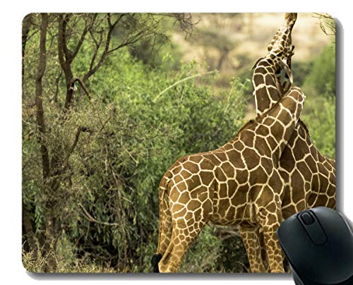 Preisvergleich Produktbild Mauspad Rutschfeste Naturkautschuk-Rechteck-Mauspads, Umarmungstierliebesgiraffe Gummi Mousepad Genähte Ränder
