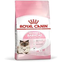 Royal Canin Comida para gatos Babycat 2 Kg : Amazon.es: Productos ...