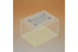 MTFZD Insektenvilla Ameisennest Großer Raum AntHouse Display Box Ameisenfarm Ameisen Nest Acryl Insect Villa Pet Mania Haus Für Ant Leben Beobachten Kinder Bildung Wissenschaft