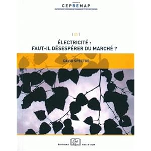 Electricité : faut-il désespérer du marché ?