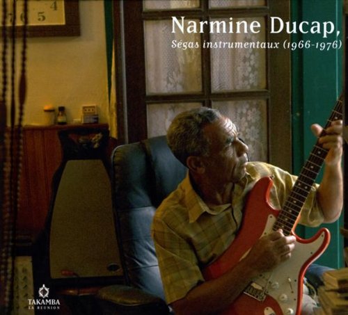 couverture de : S&eacute;gas instrumentaux