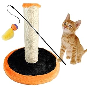 BPS® Juguete Rascador para Gatos con Campana, Scraper para Gato, Animales Domésticos Diferente Modelo para Elegir Color se envia al Azar 28 x 28 x 32cm (Modelo 2) BPS-3158 * 1
